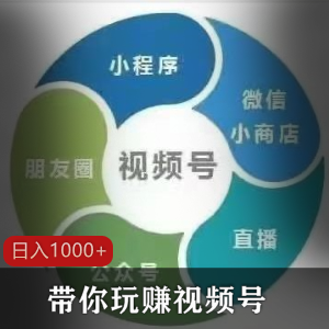 从0到1带你玩赚视频号：这么玩才赚钱，日引流500+日收入1000+核心玩法