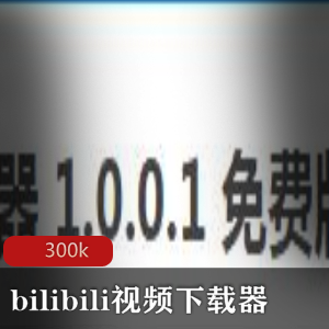 《bilibili视频下载器》实用工具软件