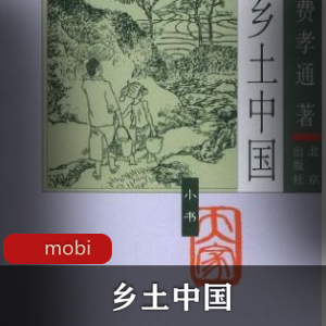 电子书《乡土中国》[费孝通]文学推荐