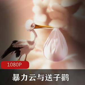 动画《暴力云与送子鹳》高清珍藏推荐