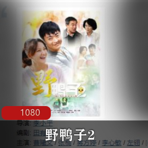 《野鸭子2》高清版