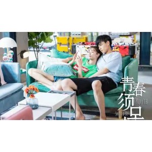 爱情电视剧《青春须早为》典藏版