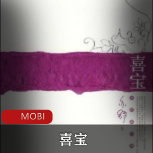 电子书《喜宝》亦舒作品推荐