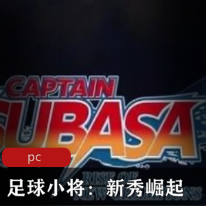 体育竞技《足球小将：新秀崛起》中文版