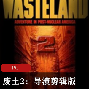冒险游戏《废土2：导演剪辑版》中文破解版