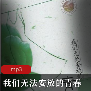 有声书我们无处安放的青春播讲钟维维