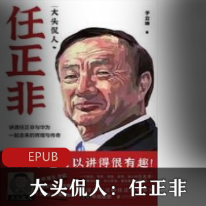 电子书大头侃人任正非人物传记推荐