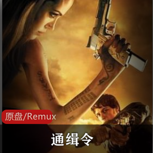 高能美国动作片(通缉令)原盘画质珍藏版