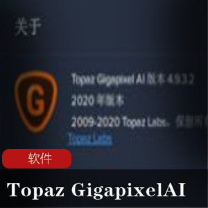 图片无损放大软件(Topaz Gigapixel AI)图像无损放大工具推荐