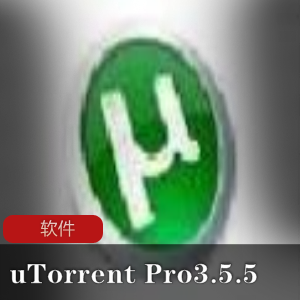 BT上载客户端《uTorrent Pro3.5.5》专业去广告绿色版