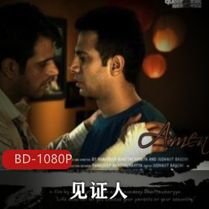 法国电影《见证人》经典高清中字推荐