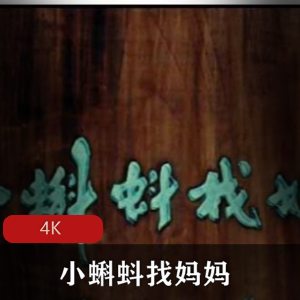 经典动画《大盗贼》上美高清修复版推荐