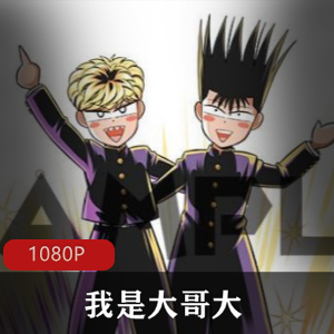 日本动漫《我是大哥大》动画版全集推荐