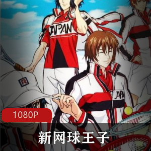 日本动漫《新网球王子》第一季珍藏版推荐