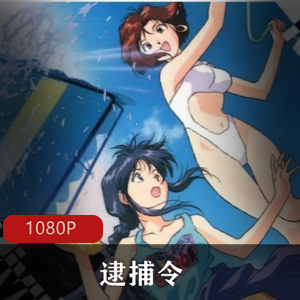 藤岛康介的同名漫画改编而成《逮捕令》