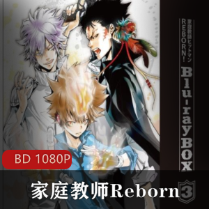 长篇电视动画作品《家庭教师Reborn》高清中字合集推荐