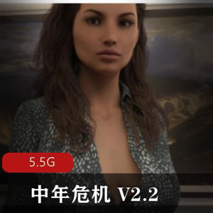 中年危机 V2.2 精翻汉化pc版