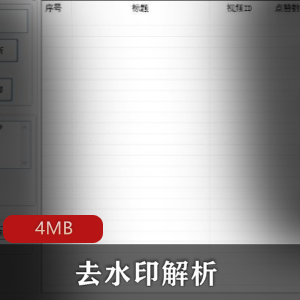 （去水印解析）抖音快手PC版