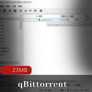 （qBittorrent）安卓中文版PC版