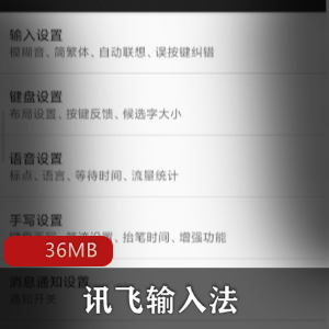 （讯飞输入法）黑鲨版最新版本