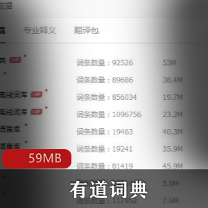 （有道词典）绿色PC版