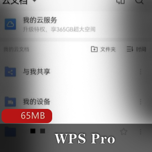 （WPS_Pro_）专业版永久激活破解