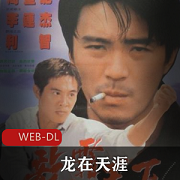 （龙在天涯）周星驰免费观看完整版