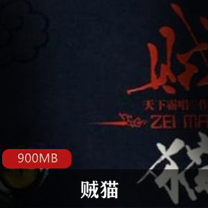 （贼猫）艾宝良有声小说整本免费