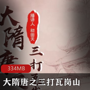 （大隋唐之三打瓦岗山）陈清远评书