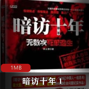 （暗访十年）有声小说