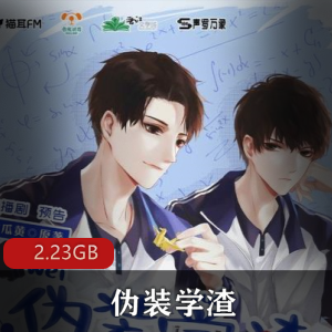 （伪装学渣）有声小说