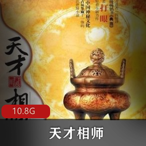 （天才相师）打眼有声小说