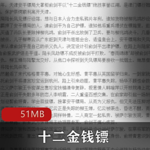 武侠小说（十二金钱镖）有声小说