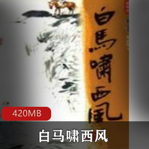 （白马啸西风）有声小说