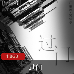 （过门）有声小说