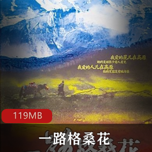 经典小说（一路格桑花）有声小说