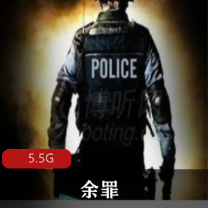 （余罪）电视剧原著有声小说