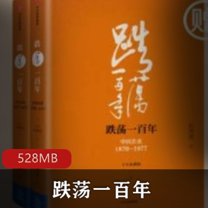 （跌荡一百年）经济有声小说