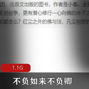 （不负如来不负卿）有声小说