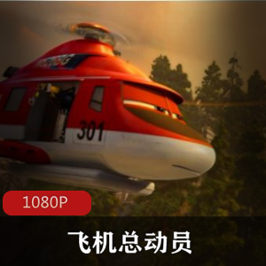 （飞机总动员）第一部+第二部