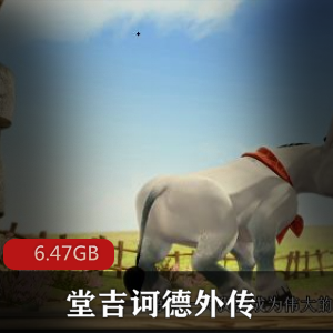 （堂吉诃德外传）动漫