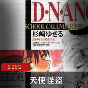 （天使怪盗）国语版全集