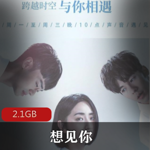 （想见你）电视剧原著有声小说