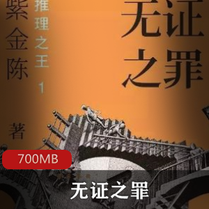 （无证之罪）有声小说